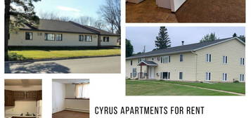 421 Stromen St Unit 1, Cyrus, MN 56323