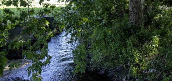 Moradia para restauro junto ao Rio: Natureza e História em Harmonia.