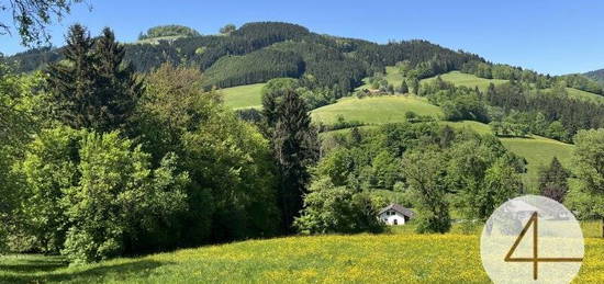 Green green grass of home - sonnige, einzigartige Lage im Grünen - einfach ein…