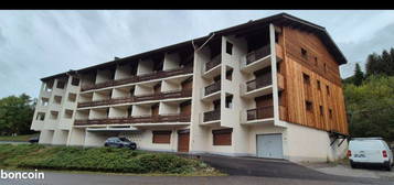 Vends studio 24m2 au grand Bornand