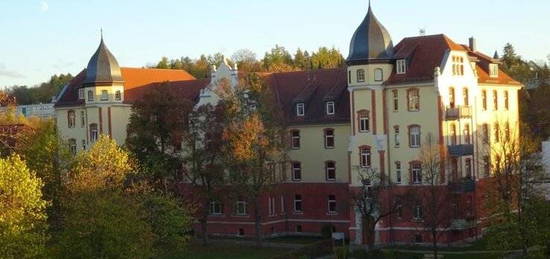 Gemütliche 2-Zimmer-Dachgeschoss-Whg.mit Lift im Reußpark