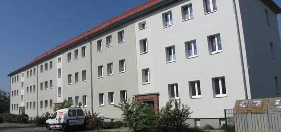 Tolle große 3-Raum-Wohnung in Greifswald