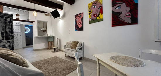 SUPERBRE STUDIO MEUBLE QUARTIER SAINT JEAN PERPIGNAN