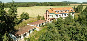 Dům, 1800 m² + 12195 m² pozemek, Dražíč