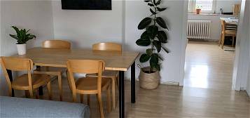 Schöne geschnittene 2-Zimmer-Wohnung in Köln Sülz in ruhiger Lage