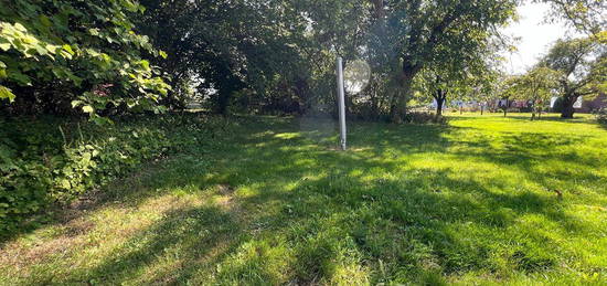 Für Natur- u. Landliebhaber - Whg. über 2 Ebenen im EFH-Charakter * Terrasse m. Gartenant. * Carport