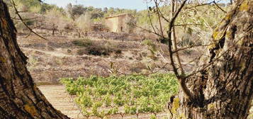 Finca rústica en venta en N/a, Caseres