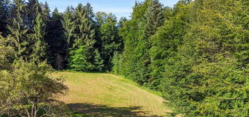 Rarität - Ruhige Alleinlage Nähe Graz mit Waldbestand