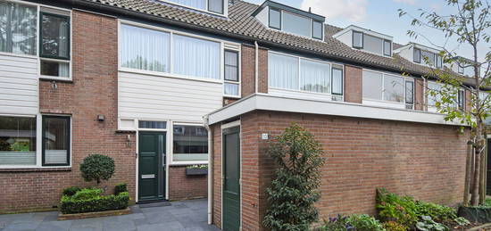 Vuurdoorn 10