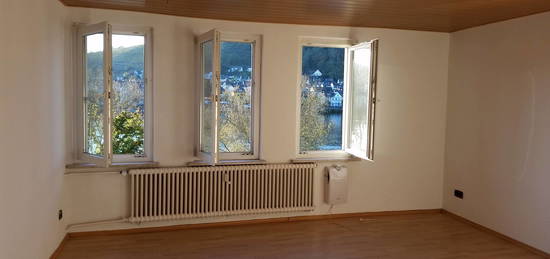 Schöne große 2 Zimmer Wohnung mit Moselblick