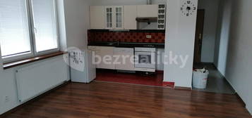 Pronájem bytu 1+kk 35 m², Ringhofferova, Velké Popovice