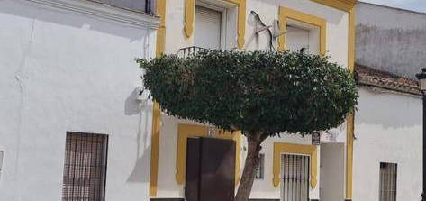 Casa adosada en venta en Bienvenida