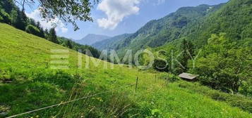 Lage! Lage! Lage! Berge, Wälder, Wiesen zum genießen!