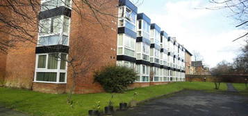 1 bed flat to rent