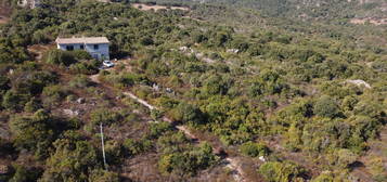 Casale via Stazzu Callosu, San Giovanni, Sole Ruiu, Olbia