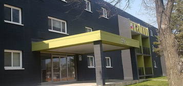 33 Killarney Ave #107, Winnipeg, MB R3T 3B1