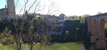 ALBI secteur Patgraussals, beau T2 avec vue sur le Tarn