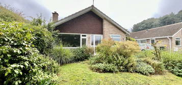 Detached bungalow to rent in Coneygar Close, Bridport, Dorset DT6