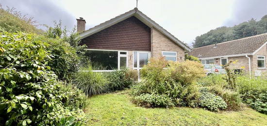 Detached bungalow to rent in Coneygar Close, Bridport, Dorset DT6