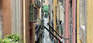 Piso en El Gòtic, Barcelona