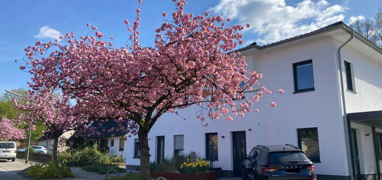 Doppelhaushälfte in Osnabrück Widukindland zu vermieten