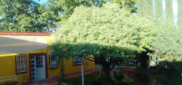 Casa en  Barrio Del Sombreretillo, Parras