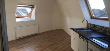 Bel appartement F2 lumineux et rénové (1 chambre)