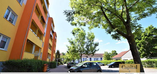 Tolle Dreiraumwohnung mit Balkon und Einbauküche