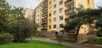 Pronájem bytu 1+1 40 m²