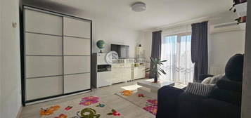 Apartament 2 camere Bucium - mobilat - utilat complet