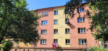 Prodej bytu 3+1 59 m² (Jednopodlažní)