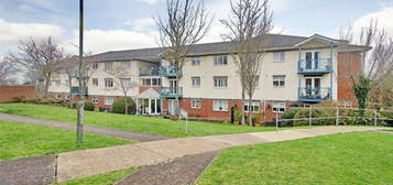 1 bed flat to rent