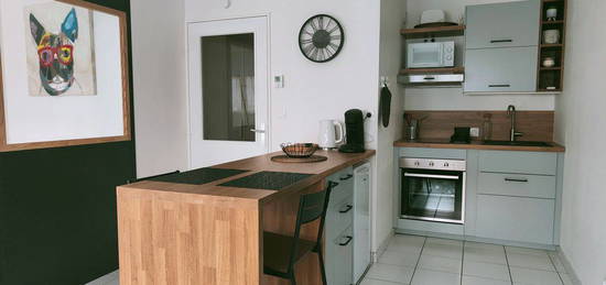 Appartement Type 1 Bis meublé dans un immeuble de bon standing