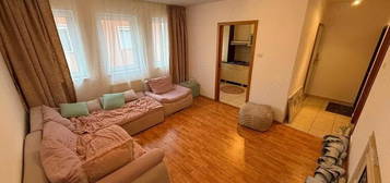 Apartament 3 camere Dumbravita Pet Friendly