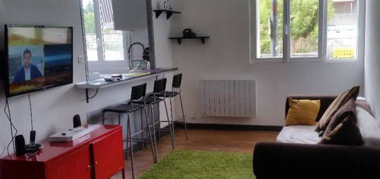 Appartement style industriel 52m2 meublé avec un locataire