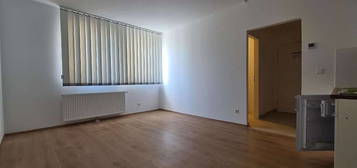 WR NEUDORF 1 ZIMMER APARTMENT***PROVISIONSFREI