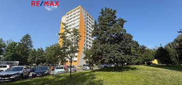 Prodej bytu 3+1 60 m² (Jednopodlažní)