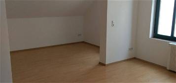 1-Raum Wohnung mit Küchenzeile / Singlewohnung