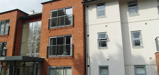 1 bed flat to rent