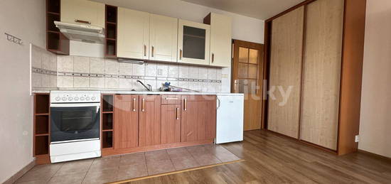 Pronájem bytu 1+kk 34 m², Švehlova, Praha