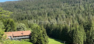 Großes* Bauernhaus*  auf 2,5 ha Grundstück in Traumlage/ Schwarzwald