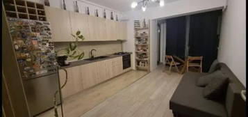 Apartament de 2 camere, 45 mp, centrala, pet friendly, parcare, AC, Lacul Morii