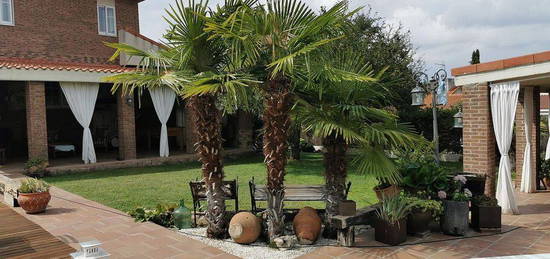 Chalet en Casar (El)