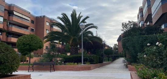 Alquiler de Piso en paseo de la Chopera