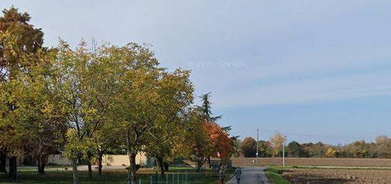 Villa singola 1200 con giardino Gattatico