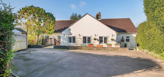 3 bed detached bungalow for sale