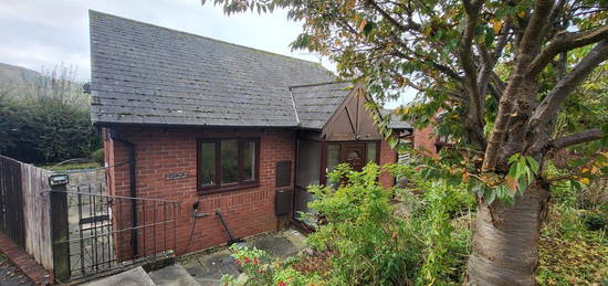 Bungalow to rent in Chestnut Court, Wyesham, Monmouth NP25