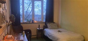 Room near the city centre for rent