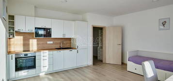 Pronájem bytu 1+kk 34 m²