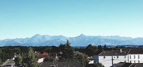 Lumineux T2 Bis dans rés. Sécurisée, vue Imprenable Pyrénées, Quartier Hippodrome